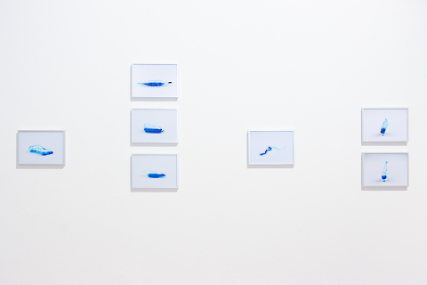 Fluid Forms, 2024 